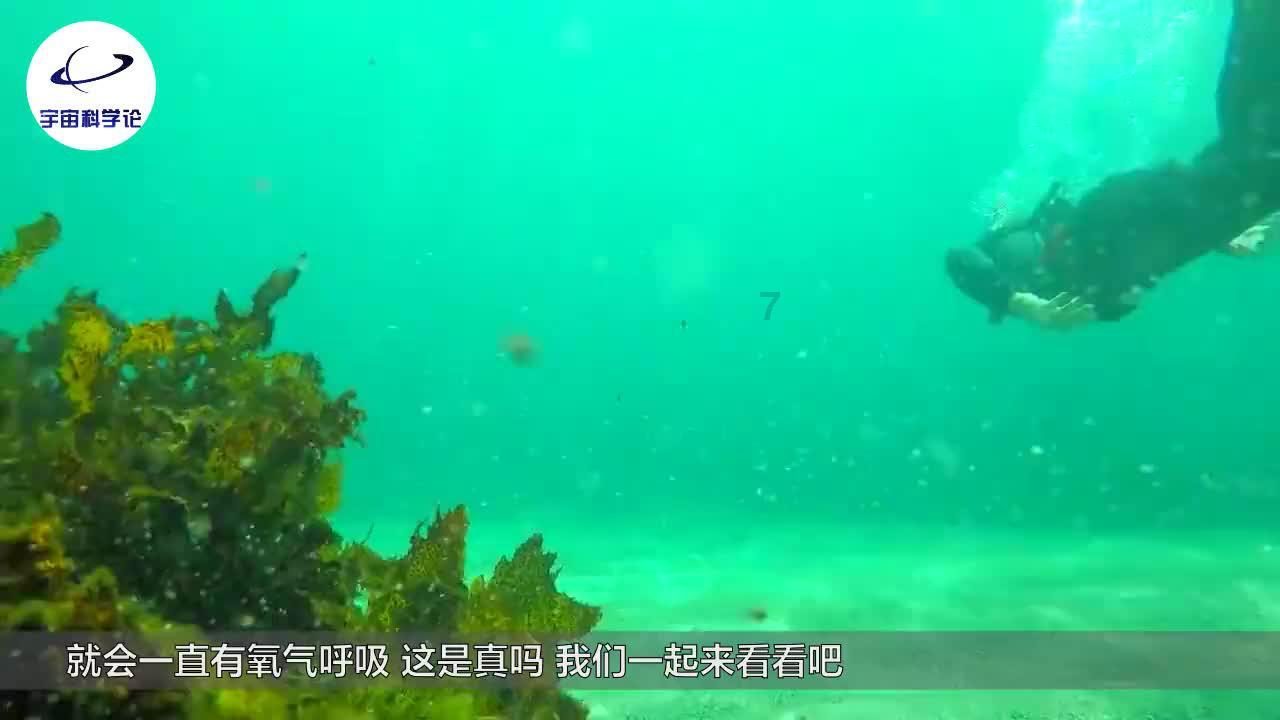 比小兰花还要“夹”,虞书欣扮可爱,扛走《仙剑6》所有的锅